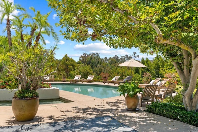 outdoor pool with a patio