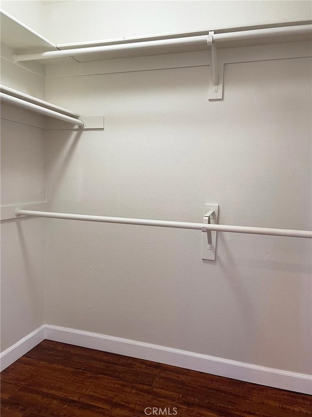 spacious closet featuring dark wood-style floors