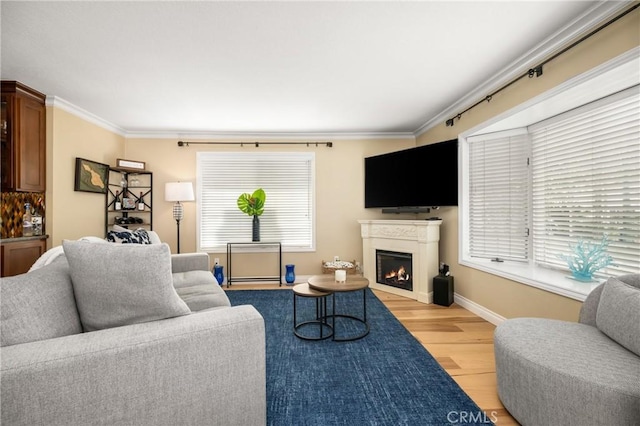 living room with a lit fireplace, a wealth of natural light, crown molding, and light wood-style floors