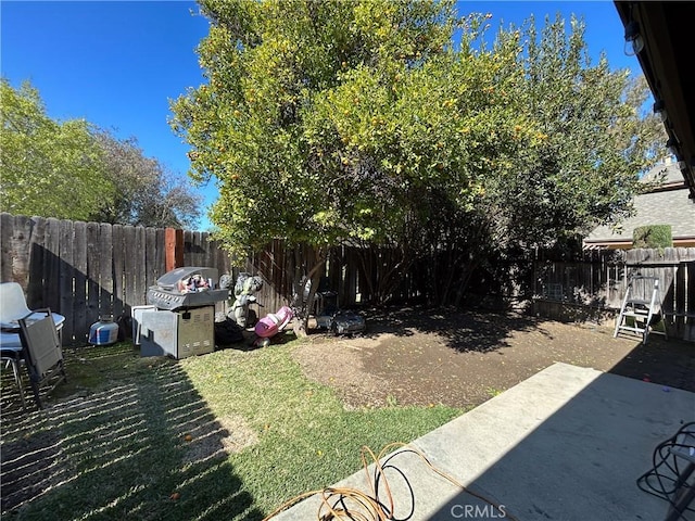 view of yard featuring a patio and a fenced backyard