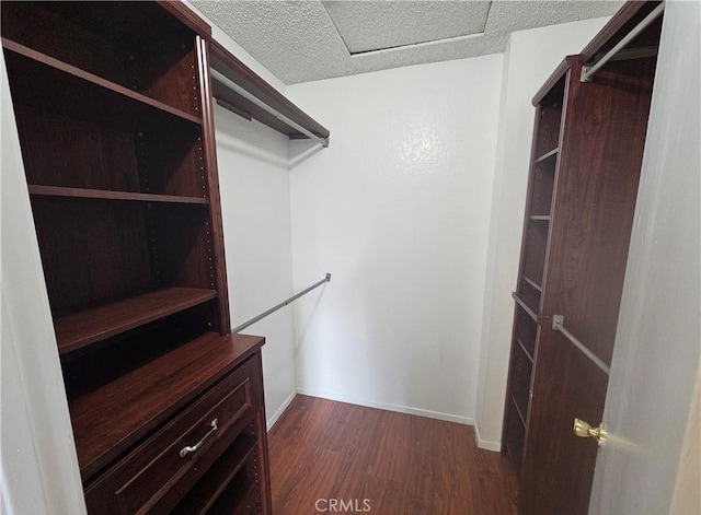 walk in closet with dark wood-type flooring