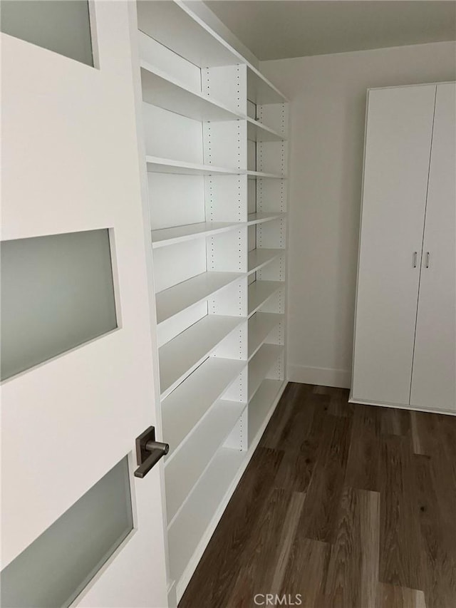 walk in closet featuring dark wood-type flooring
