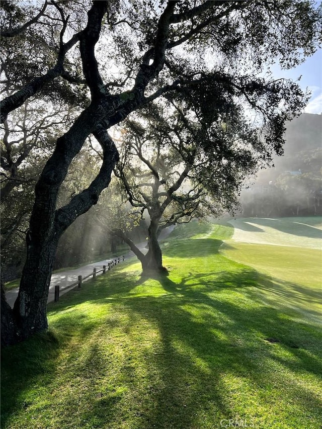 view of property's community featuring a lawn