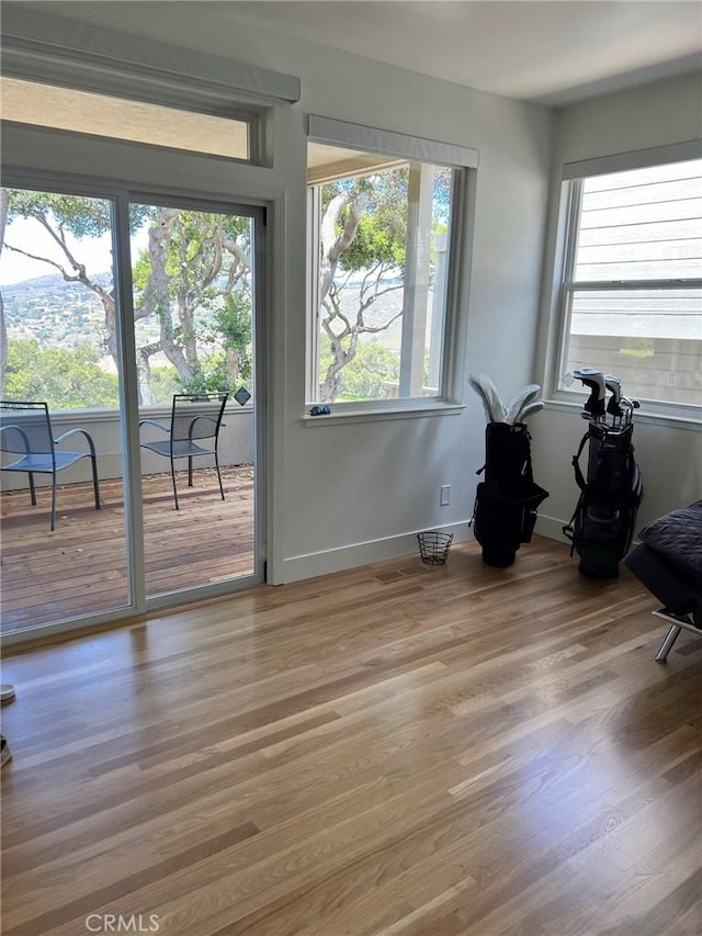 interior space with plenty of natural light, baseboards, and wood finished floors