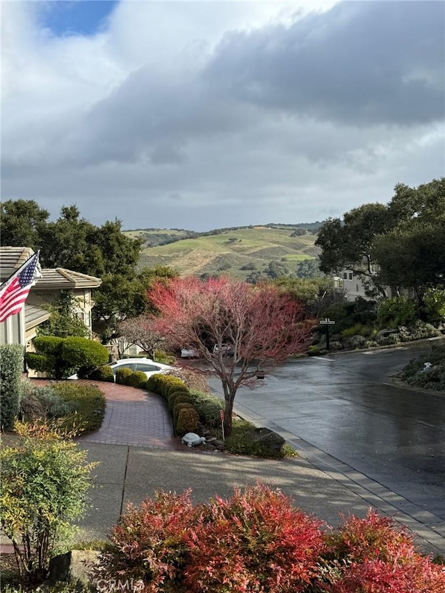 view of home's community featuring driveway