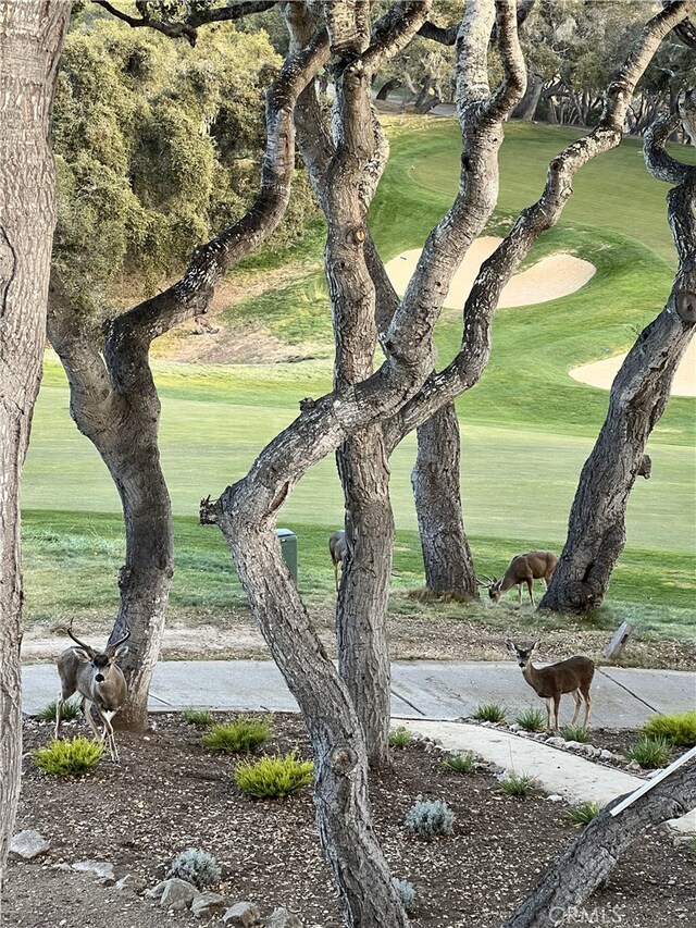 surrounding community featuring a lawn and golf course view