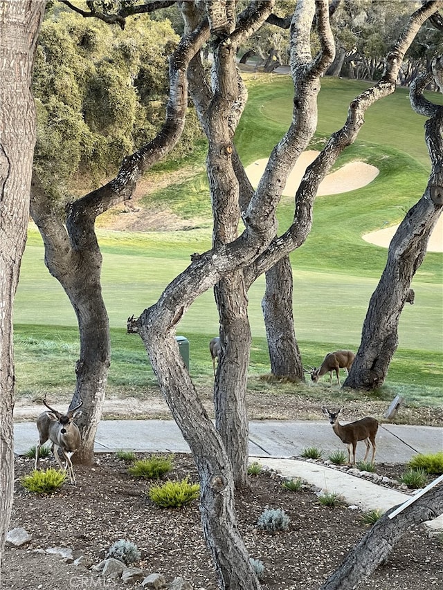 surrounding community featuring a lawn and golf course view