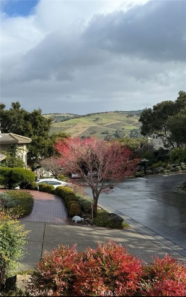 view of community