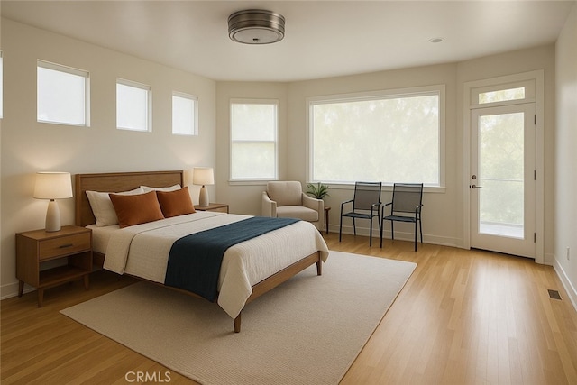 bedroom featuring multiple windows, light wood finished floors, and access to exterior