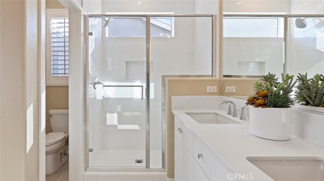 full bath featuring toilet, a healthy amount of sunlight, a stall shower, and a sink