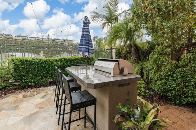 view of patio / terrace featuring grilling area, exterior kitchen, and outdoor wet bar