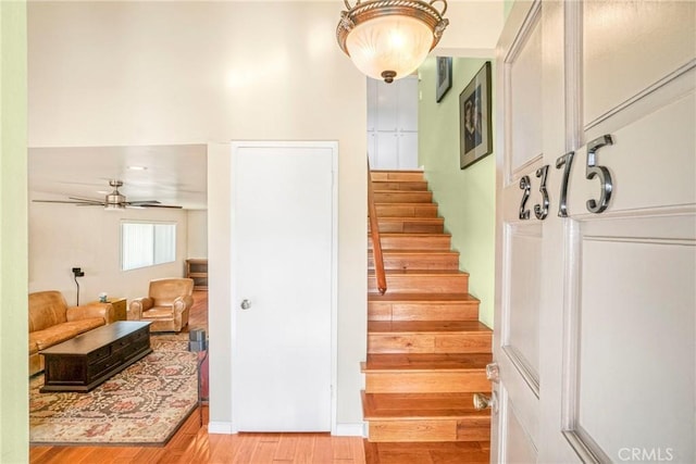 staircase featuring ceiling fan and wood finished floors