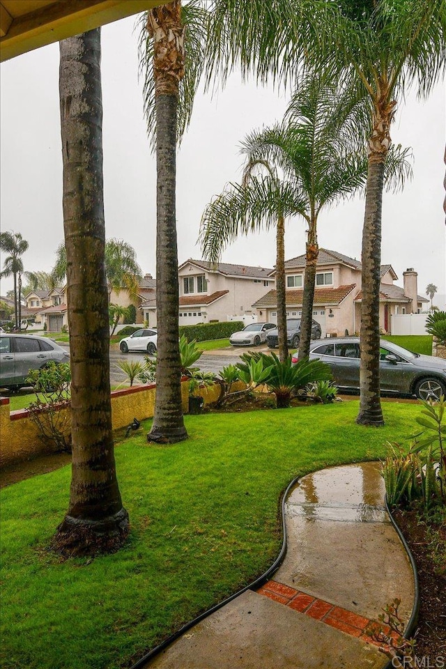 view of community featuring a yard