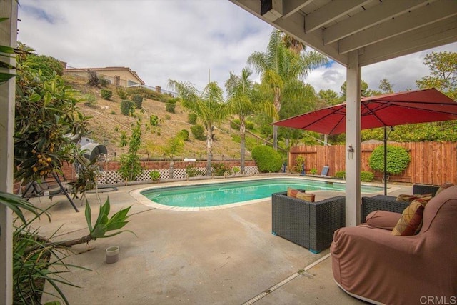 view of swimming pool featuring a fenced in pool, a fenced backyard, and a patio