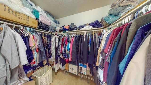 walk in closet with carpet