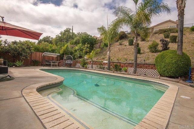 view of pool featuring a fenced in pool, a patio, and a fenced backyard