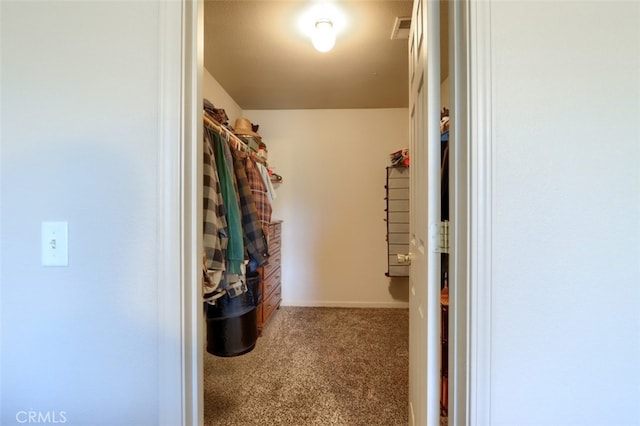 spacious closet featuring visible vents and carpet floors