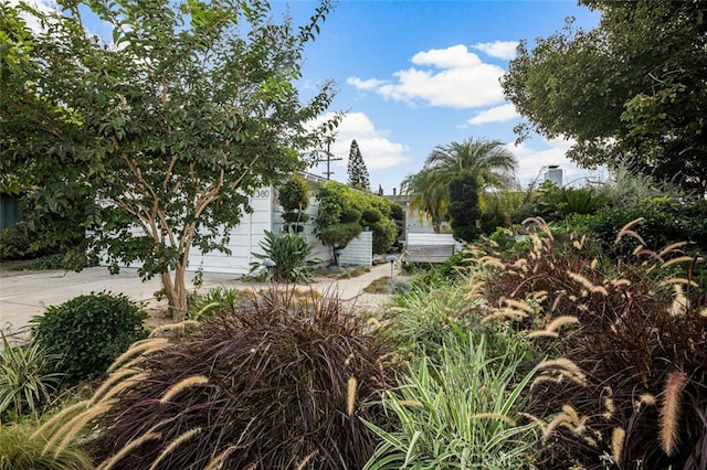 exterior space featuring concrete driveway and an attached garage