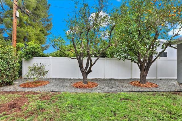 view of yard with a fenced backyard