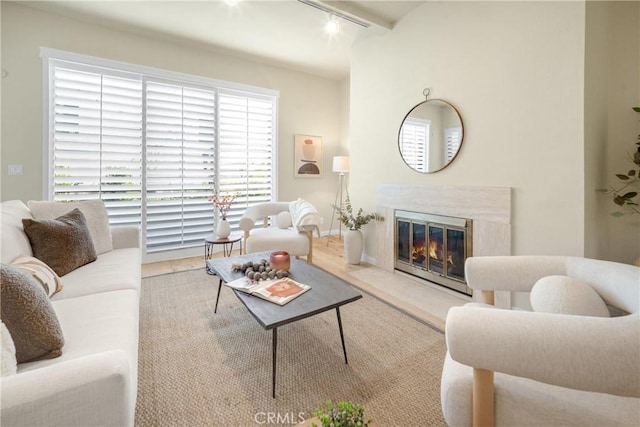 living room featuring rail lighting and a fireplace