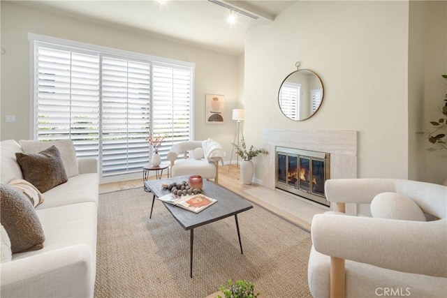 living room featuring rail lighting and a fireplace