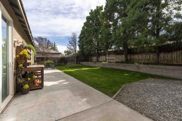 view of yard featuring a patio and a fenced backyard