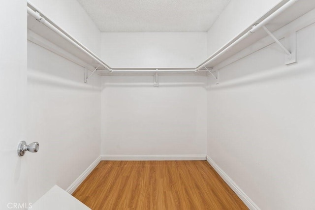 spacious closet with wood finished floors