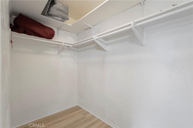 walk in closet featuring wood finished floors