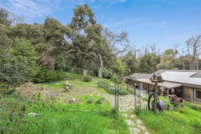 view of yard with a carport and driveway