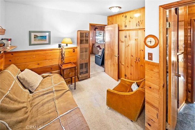 interior space featuring carpet, a wainscoted wall, and wood walls