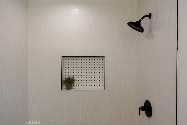 interior details featuring walk in shower