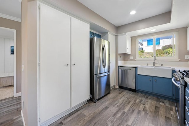 kitchen with blue cabinets, a sink, wood finished floors, stainless steel appliances, and light countertops