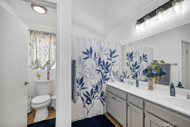 full bathroom featuring a sink, lofted ceiling, toilet, and double vanity