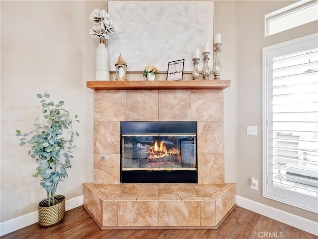 details featuring baseboards, wood finished floors, and a fireplace