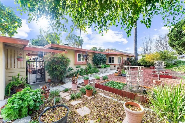 back of house featuring a garden and stucco siding