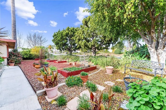 view of yard with a vegetable garden