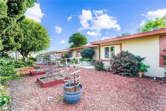 view of yard featuring a garden