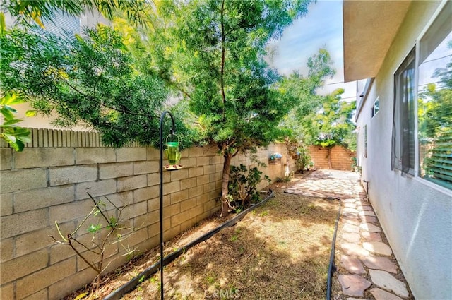 view of yard with a fenced backyard