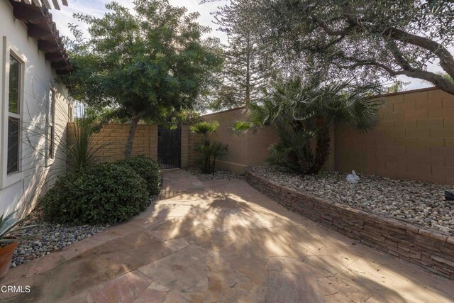 view of yard with a patio, a gate, and fence