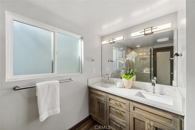 full bathroom featuring a sink, double vanity, wood finished floors, and a shower stall