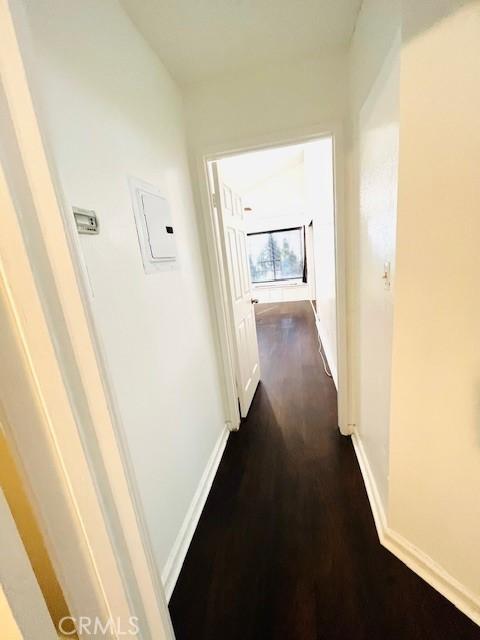 corridor featuring baseboards, electric panel, and dark wood-type flooring