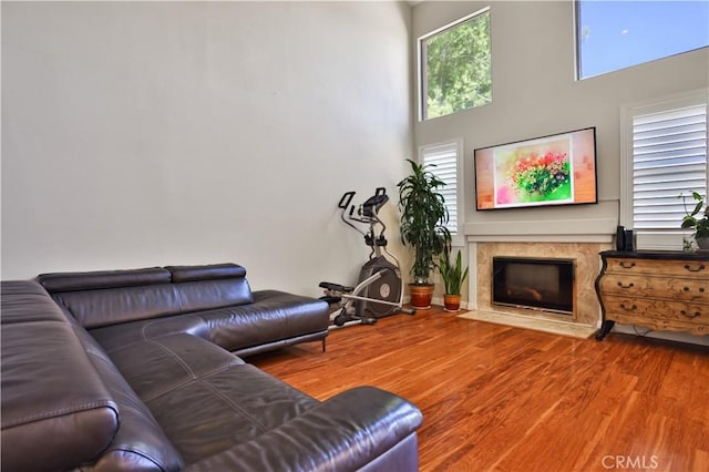 living area featuring a fireplace, wood finished floors, and a towering ceiling