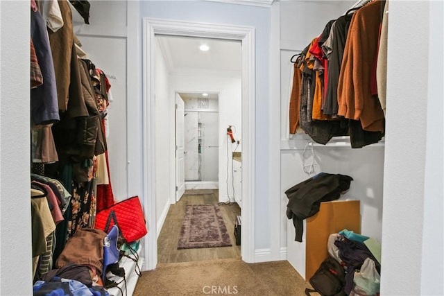 spacious closet featuring carpet floors