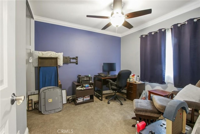 office space with ceiling fan, carpet floors, and ornamental molding