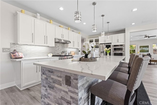 kitchen featuring under cabinet range hood, decorative backsplash, appliances with stainless steel finishes, and light wood-style flooring