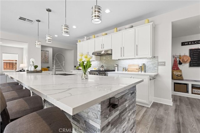 kitchen with visible vents, a sink, stove, under cabinet range hood, and backsplash