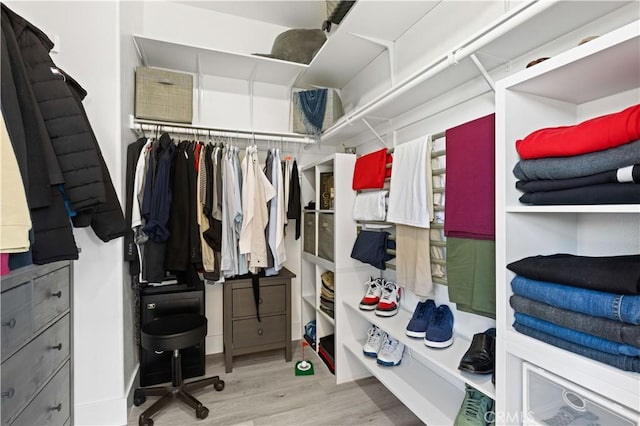 walk in closet featuring wood finished floors