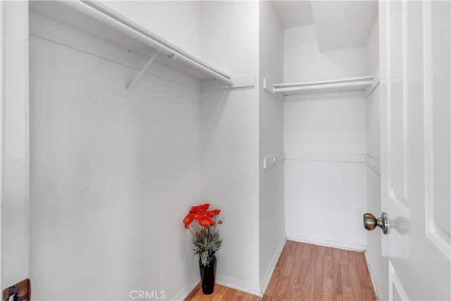 spacious closet featuring light wood-style floors