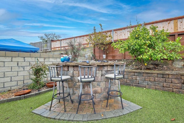 view of yard with a patio area, a fenced backyard, and outdoor dry bar