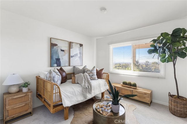 bedroom with baseboards and carpet floors